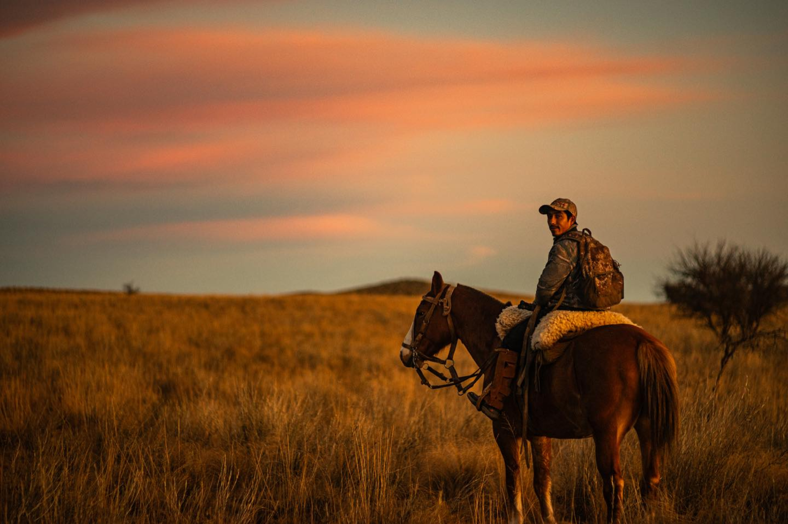 Gaucho in La Pampa