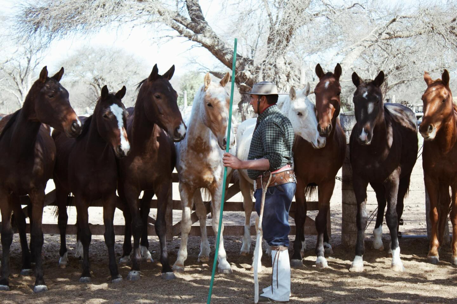 Ranch life