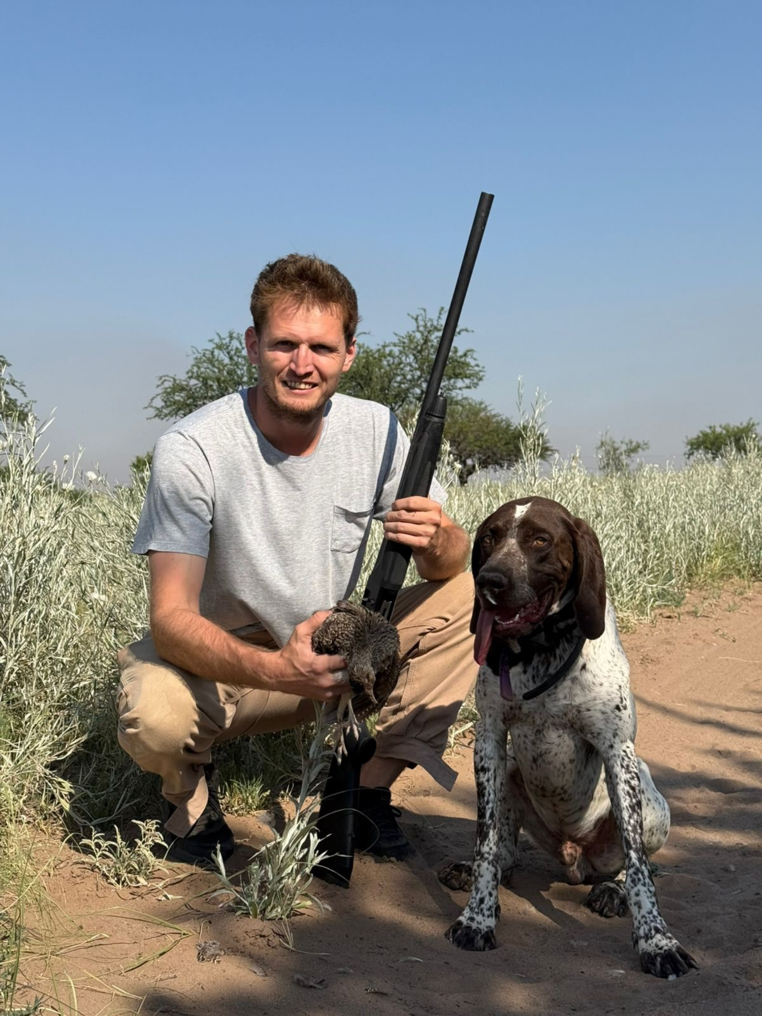 Hunting dog